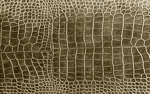 972118 (a): :2560x1600